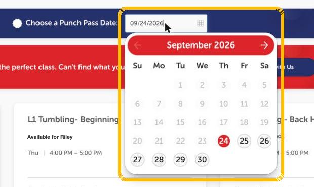 The Choose a Punch Pass Date field with a calendar open and highlighted.